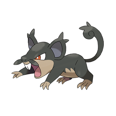 Rattata