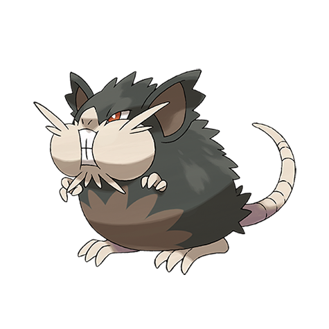 Raticate